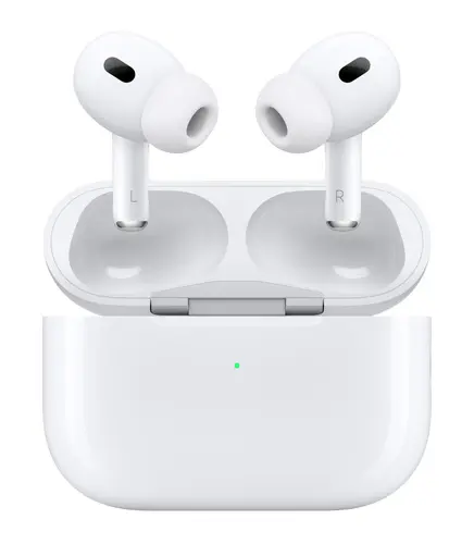Wireless earphone